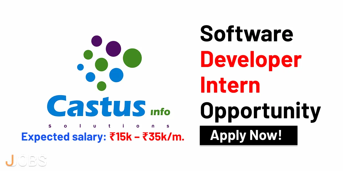 Castus Info Solutions banner